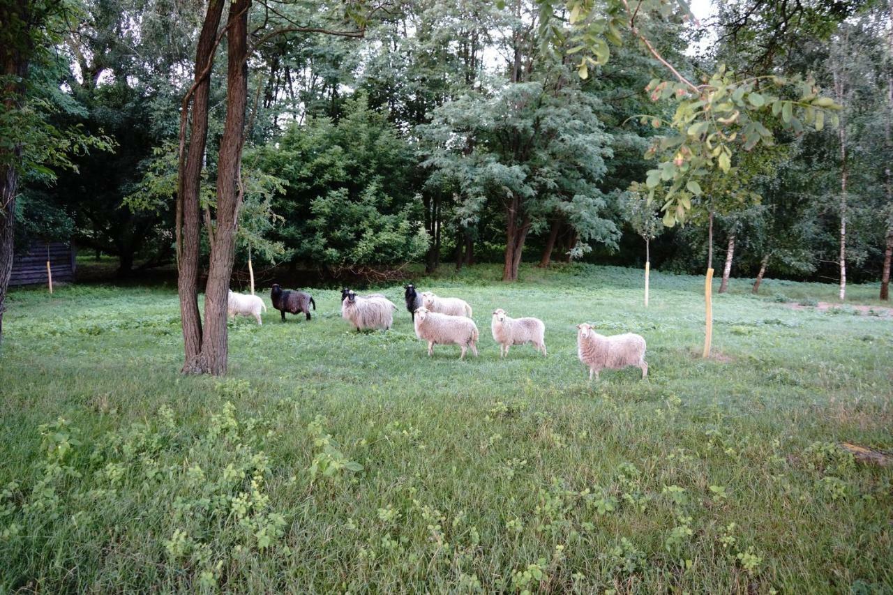 Ferien In Himmelpfort Esterno foto