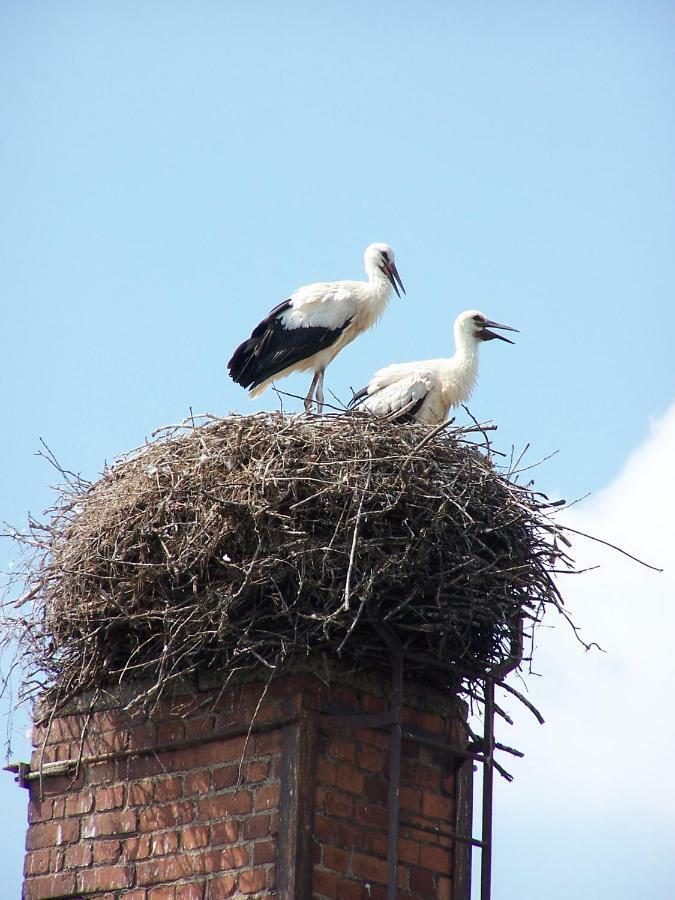 Ferien In Himmelpfort Esterno foto